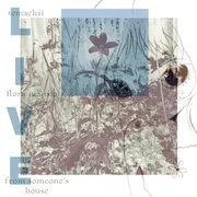 soft n sweet - live from someone’s house - Temachii
