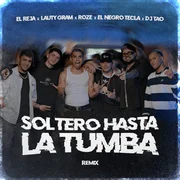 Soltero Hasta la Tumba (Remix) ft. Roze Oficial & El Negro Tecla - El Reja