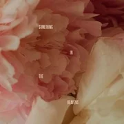 Something In The Heavens - Lewis Capaldi