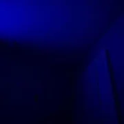 ​stay for the night - Justin Lee