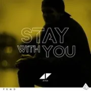 Stay With You - Avicii