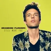 Still Want You - Brandon Flowers