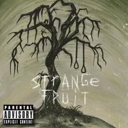 Strange Fruit ft. Ro$ama - Bigxthaplug