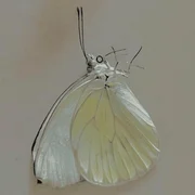 Stranger in You - Ebril