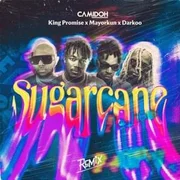 Sugarcane Remix ft. Darkoo, King Promise & Mayorkun - Camidoh