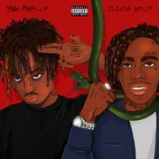 Suicidal (Remix) ft. Juice WRLD - Ynw Melly