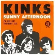 Sunny afternoon - The kinks