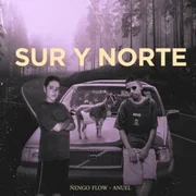 Sur y Norte - Ñengo Flow