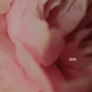 Survive - Lewis Capaldi