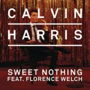 Sweet Nothing - Calvin Harris