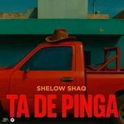 Ta De Pinga - Shelow Shaq