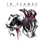 Take this life - In flames