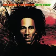 Talkin’ Blues - Bob Marley