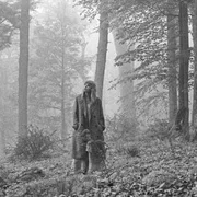 Taylor Swift - this is me trying (Tradução em Português) - Genius Brasil Traduções