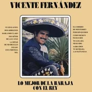 Te Llegara Mi Olvido - Vicente Fernández