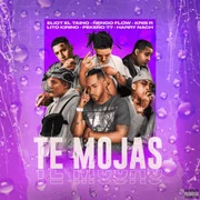 Te Mojas ft. Eliot El Taino, Harry Nach, Lito Kirino, Pekeño 77, Kris R. - Ñengo Flow