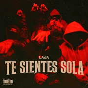 TE SIENTES SOLA - Laja