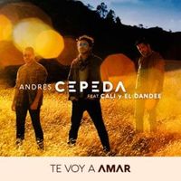 Te Voy A Amar - Cali & El Dandee