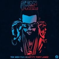 Tek Weh Yuh Heart - Sean Paul