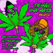 Tengo Una Mata (Remix) - Quimico Ultra Mega