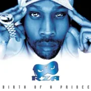 The grunge - Rza