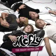 The heart never lies - Mcfly