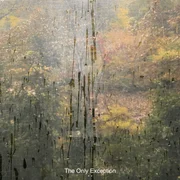 The Only Exception - Katelyn Tarver