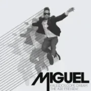 The Thrill - Miguel