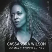 These Foolish Things - Cassandra Wilson