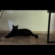 ​this house is not the same - Sweet Boy