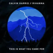 This Is What You Came For - Calvin Harris