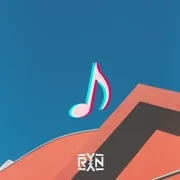 TikTok Song - Ryyzn