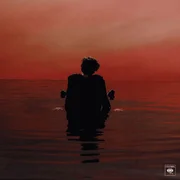 Sign of the Times - Drippin