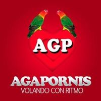 Todo Está En Vos - Agapornis