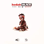 Too Many Years ft. PnB Rock - Kodak Black