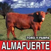 Toro y Pampa - Almafuerte