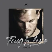 Tough Love ft. Agnes & Vargas & Lagola - Avicii