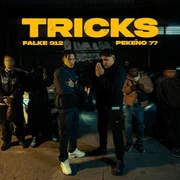 TRICKS - Falke 912