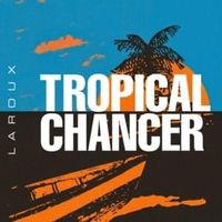 Tropical Chancer - La Roux