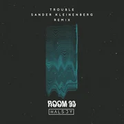 Trouble (Sander Kleinenberg Remix) - Halsey