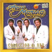 Tu Amor Fue Una Mentira - Agua Marina
