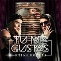 Tu Me Gustas - Kevin Roldan