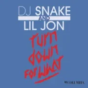 Turn Down for What - DJ Snake