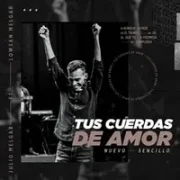 Tus Cuerdas de Amor ft. Lowsan Melgar - Julio Melgar