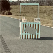 Unsweetened Lemonade - Amélie Farren