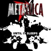 Until it sleeps - Metallica