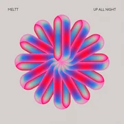 Up All Night - Meltt