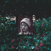 Usuario Desconocido - Buhodermia 夜