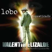 Vestido rojo - Valentin elizalde