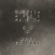 Wait So Long - Swedish House Mafia